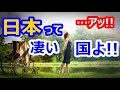 【海外の反応】衝撃!日本の福祉意識が素晴らしすぎると世界が仰天!驚きの外国人「日本よ、お前がナンバーワンだ!」多数の賞賛の声!【すごい日本】