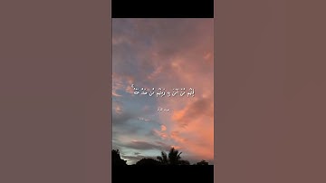 أَمْ يَحْسُدُونَ النَّاسَ عَلَىٰ مَا آتَاهُمُ اللَّهُ مِن فَضْلِهِ ۖ | القارئ : سعيد دباح