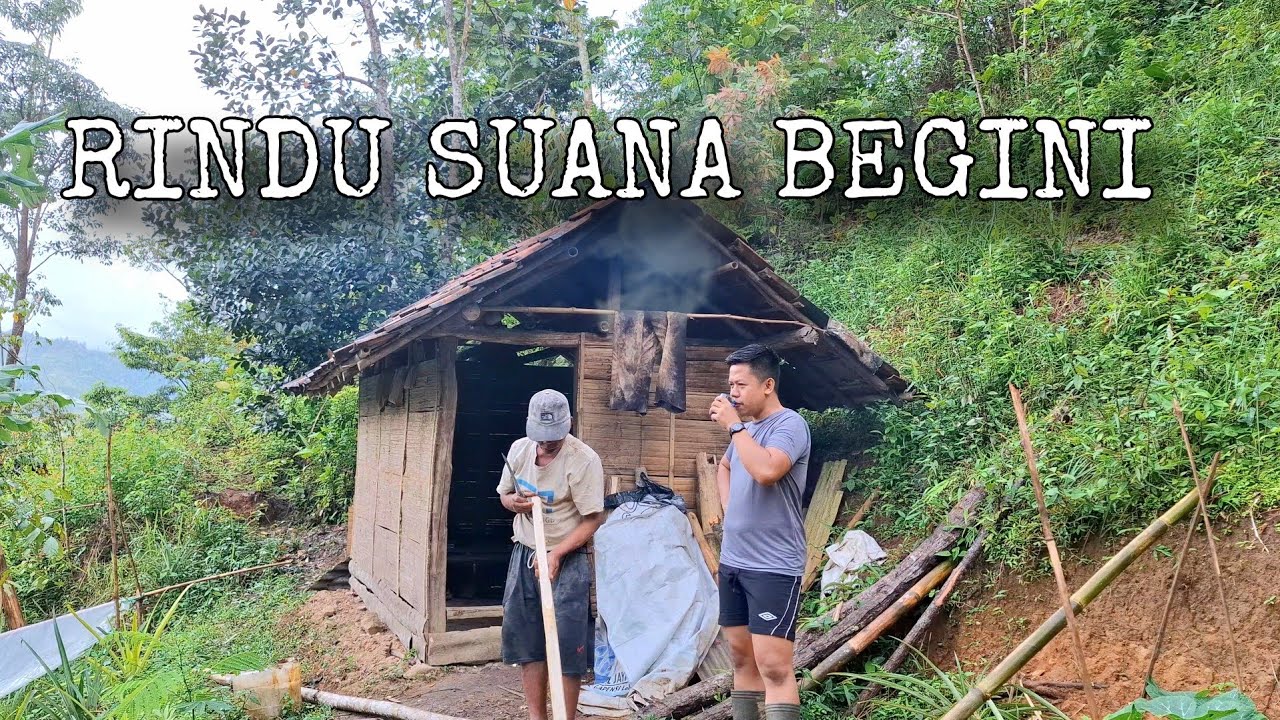 BERASA WAKTU KECIL DULU,  SUASANA  HUJAN DI SAUNG LADANG.