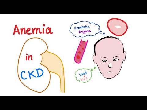 Video: Kaip lėtinė inkstų liga sukelia anemiją?