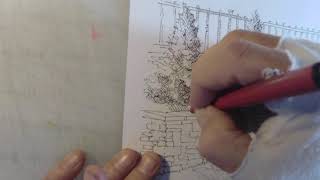 Dan&#39;s Art Adventure #16-- Pen &amp; Ink Foliage