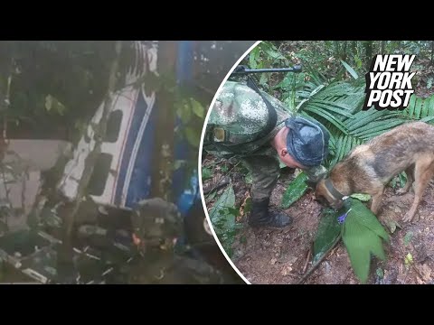 4 kids found alive two weeks after plane crashes in Colombian jungle | New York Post