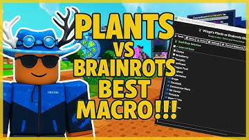 How To Use The Best Macro in Plants vs Brainrots Ultimate AFK Guide!