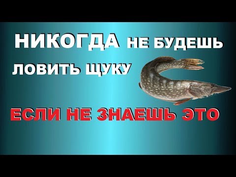 ТЫ НЕ ЗНАЕШЬ, А УЧЕНЫЕ ЗНАЮТ! ТЕПЕРЬ ЛОВИТЬ ЩУКУ будешь В ЯНВАРЕ И ФЕВРАЛЕ | SeMano TV