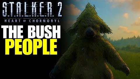 S.T.A.L.K.E.R. 2 – The Bush People Explained: Glitch, Anomaly, or Something More?