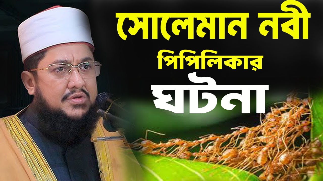 সোলেমান নবী আর পিপিলিকার ঘটনা ||  সাদিকুর রহমান আজহারী নতুন ওয়াজ 2025