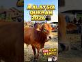 Qurban Eid 2026 in Malaysia! #shorts #Qurban2026 #AllahuAkbar #EidAlAdha #IslamicShorts #Trending