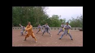 Shaolin Stretching and basics