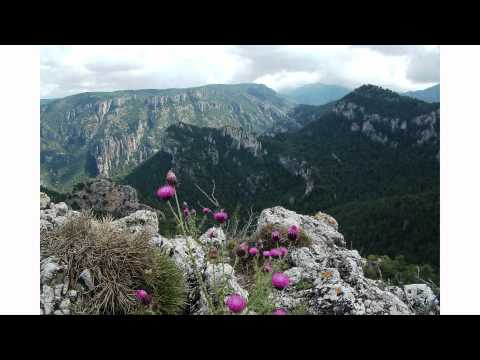 Vídeo: Senderismo Table Mountain: Los 5 Mejores Senderos Que Debes Visitar