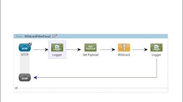 How to use Wildcard Filter