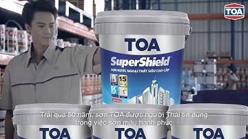 GIỚI THIỆU CÔNG TY TNHH SƠN TOA VIỆT NAM