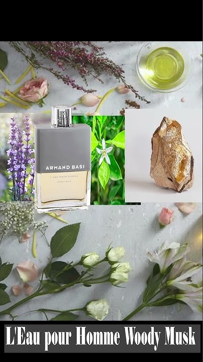 Perfumes 2022 L'Eau pour Homme Woody Musk de Armand Basi para hombres# ...