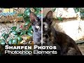 How You Can Sharpen Blurry Photos using Photoshop Elements : Sharpening Techniques Tutorial