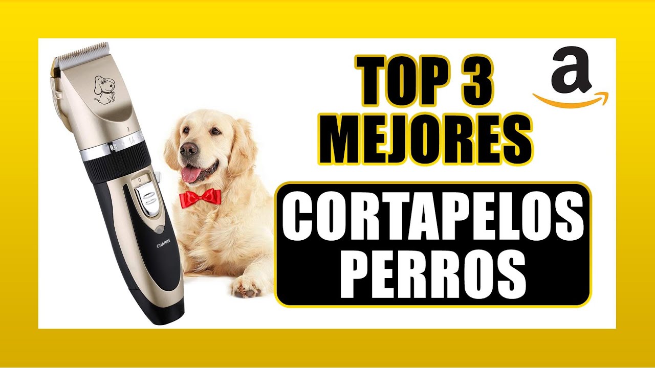  Máquina profesional para cortar pelo en perro y gato