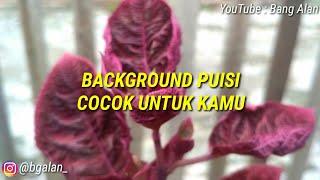 Background Video Untuk Puisi Cocok Buat Kamu - Music No Copyright