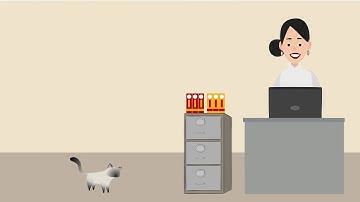 How Do Translation Memories Work