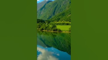 سورة المائدة و.كا،،نك تسمعها لأ،،و..ل مر،ة 🌺❤️🌷🏵️💖💕💚بصوت الشيخ حمزة مد.بو،ح🧡🌼💓🌷💔🥀