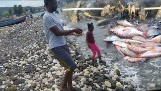Scaling Fish For Miss Little's Guess|& Kebab Doctor Fish On The Beach