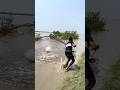 amazing river side big fish catching by castnet fishing time #amazing #riverfishing #castnet #foryou
