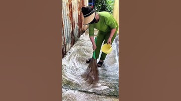 bột tẩy rong rêu nè mấy anh chị #xuhuong #viral #bottayrongreu