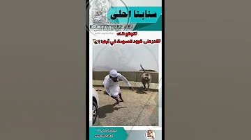 Shorts تتوقع تقدر على قرود السودة في أبها 