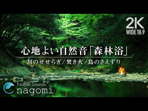 【自然音/ASMR】森林浴｜心地よく眠れる自然の音｜川のせせらぎ・焚き火・鳥のさえずり｜勉強・睡眠BGM｜Nature Sounds