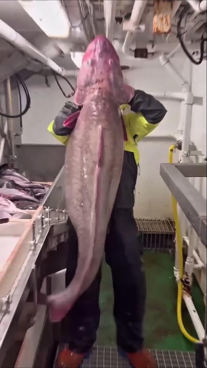 Most Dangerous Job on Earth! 😰