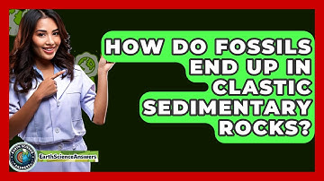 How Do Fossils End Up In Clastic Sedimentary Rocks? - Earth Science Answers