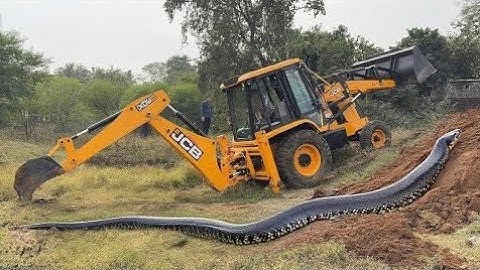 JCB 3DX and 3DX Super Loading Soil In Tractor | jcb video #JcbBackhoes #jcbvideo #JCB #Backhoes