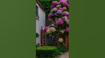 قران كريم بصوت طفل جميل جدا سورة الشعراء