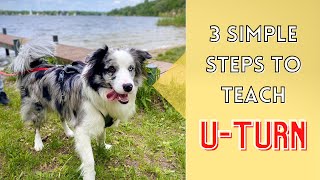 How to Teach Your Dog to U-TURN / Change Directions (Essential Off Leash Commands #2)