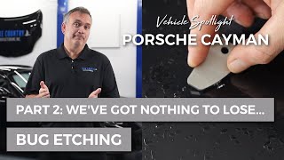 Porsche Cayman Bug Etching | Part 02: Nothing to lose... (touch-in and de-nib) by Lake Country Manufacturing 4,256 views 1 year ago 13 minutes, 10 seconds