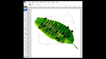 make banana leaf text effects #photoshop_tips_and_tricks