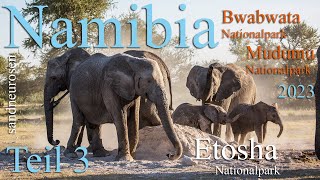 Namibia 🐘 2023, Teil 3, Mudumu Nationalpark, Bwabwata Nationalpark, Etosha Nationalpark