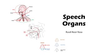 Organs of speech