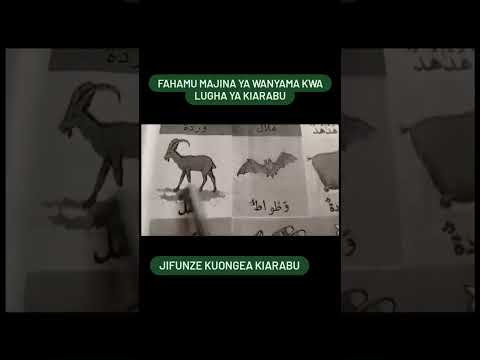 FAHAMU MAJINA YA WANYAMA KWA LUGHA YA KIARABU