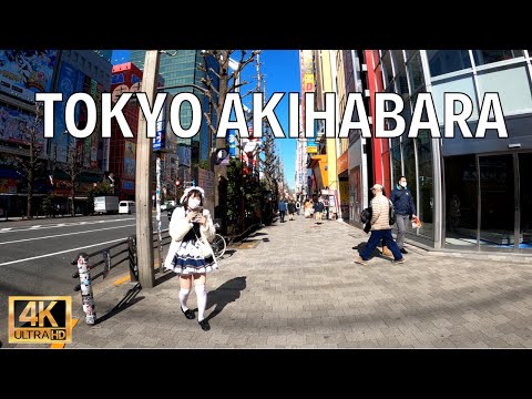 Akihabara Tokyo, Paradise for anime geek | Walk Japan, 2021 Feb［4K］