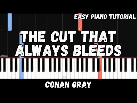 The Cut That Always Bleeds - Conan Gray