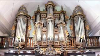 Buxtehude - Toccata BuxWV 156 - Ton Koopman