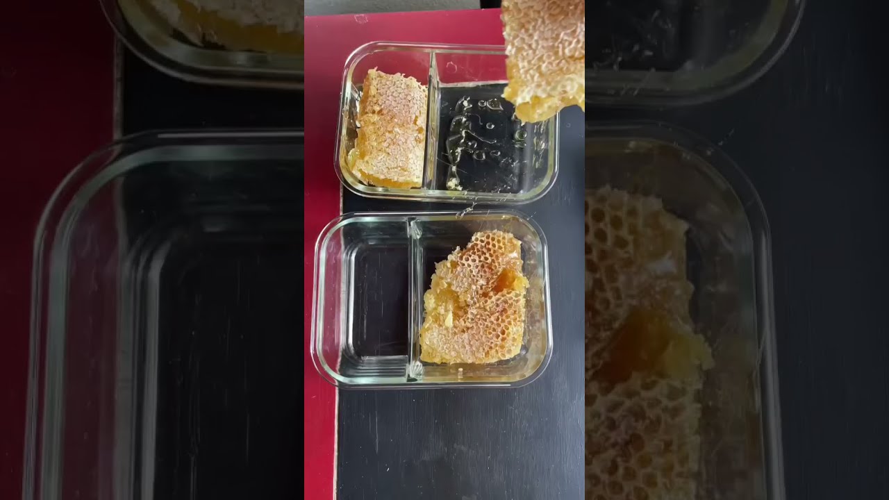 Dealing With The Abundance Harvesting Honey And Beeswax Growyourownfood Offgridliving