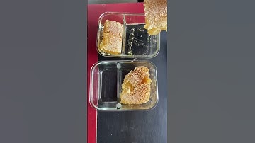 Dealing with the Abundance: harvesting honey and beeswax! #growyourownfood #offgridliving