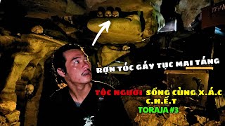 Witness the creepy burial customs of the Toraja tribe