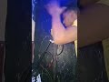 الاغنية دى هتبقى فيرس فى الشارع وفى التلفونات وحالات الواتس
