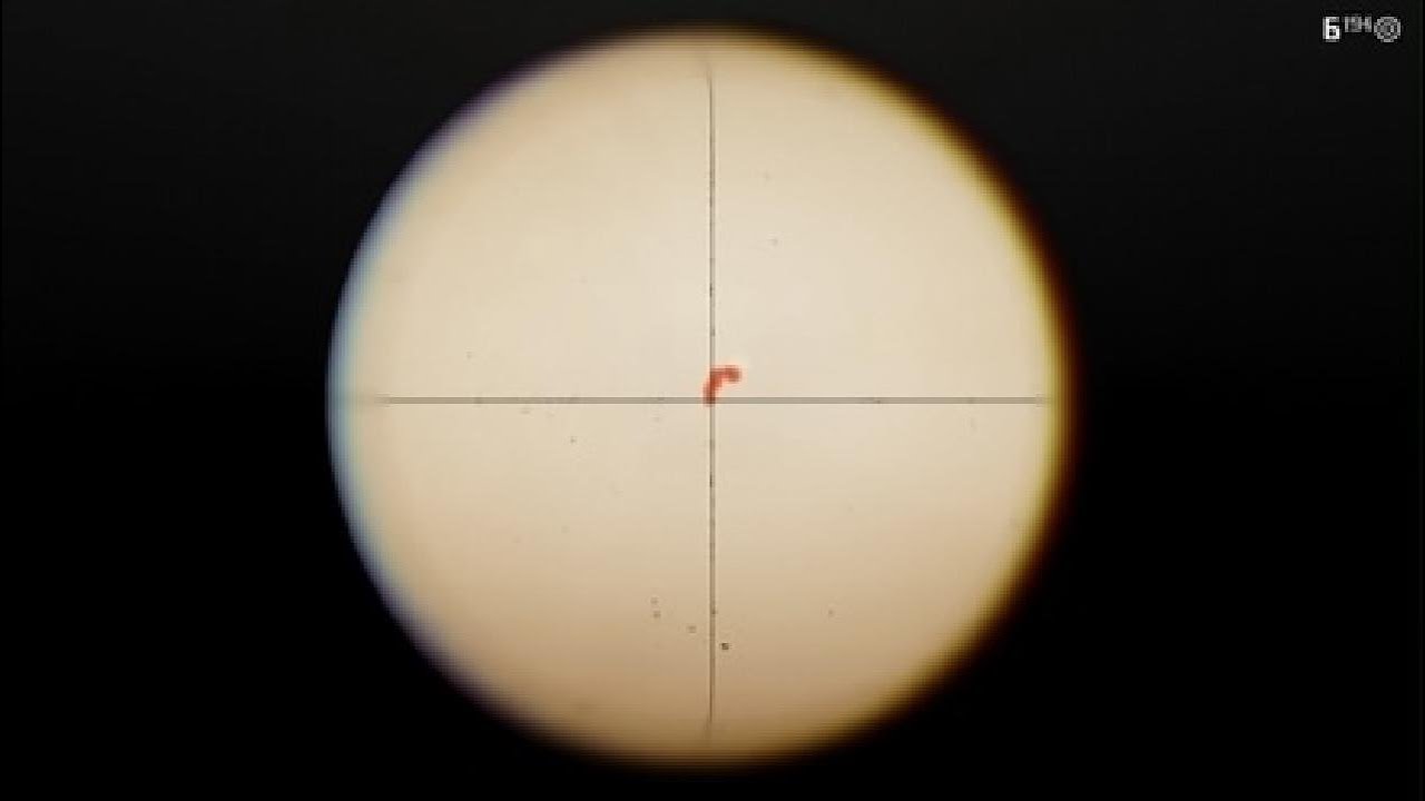 RDR2-Colter 🫎 Moose Hunting