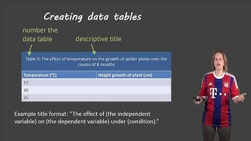 Lab report observation sections
