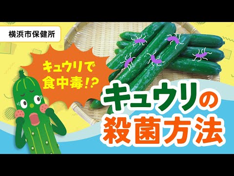 肉や魚だけじゃない！「野菜の食中毒を防ごう！」＜キュウリ編＞