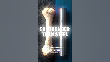 Your Bones Are New Every 10 Years! 🤯 #humanbodyfacts