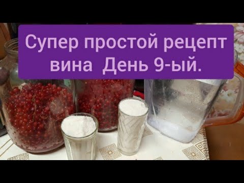 Вино.День 9. Супер простой рецепт вина из красной смородины.