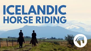 Horseback Riding IN ICELAND (Equestrian Paradise)