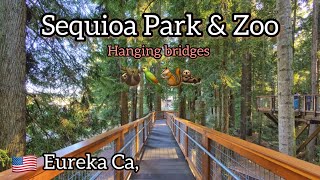 🇺🇸SEQUIOA PARK & ZOO- Eureka Ca,      June 27, 2023